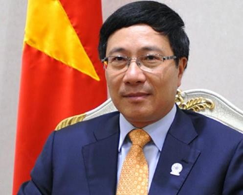 Новогоднее выступление вице-премьера, министра иностранных дел СРВ Фам Бинь Миня - ảnh 1