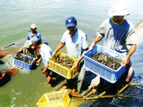 Экспорт морепродуктов Вьетнама в 2014 году превысит $6,7 млрд - ảnh 1