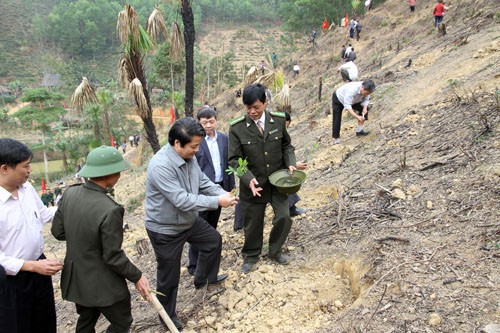 Во Вьетнаме развернута кампания по посадке деревьев в связи с Новым годом - ảnh 1