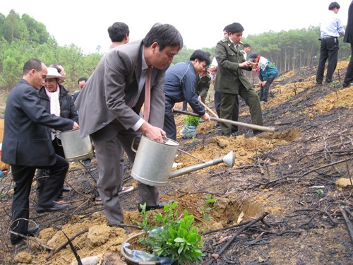 Во Вьетнаме развернута кампания по посадке деревьев в связи с Новым годом - ảnh 2