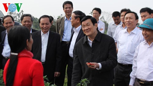Президент Вьетнама посетил провинцию Тханьхоа с рабочим визитом - ảnh 2
