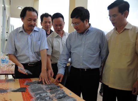 Провинции Хазянг необходимо создать прорыв в социально-экономическом развитии - ảnh 1