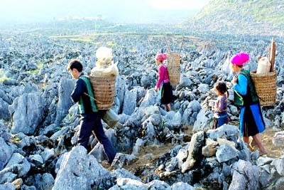 Каменное плоскогорье Донгван привлекло отечественных и иностранных туристов - ảnh 1