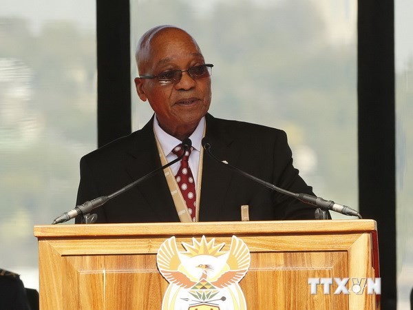 Президент ЮАР объявил новый состав правительства - ảnh 1