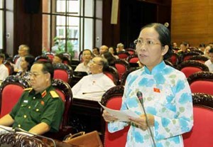 Вьетнамские депутаты обсудили внесение поправок в документ о вынесении вотума доверия - ảnh 1