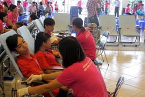 Во Вьетнаме чествованы лучшие доноры крови - ảnh 1