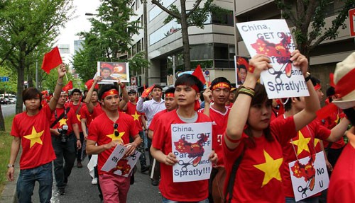 Вьетнамцы в Японии вышли на антикитайскую демонстрацию - ảnh 1
