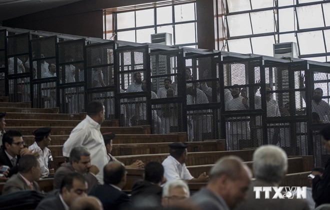 Египетские власти продолжают подавлять «Братьев-мусульман» - ảnh 1