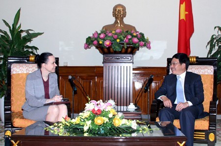 Вице-премьер, министр иностранных дел Вьетнама принял послов зарубежных стран - ảnh 1