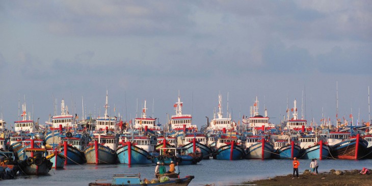 Оказание содействия рыбакам в ведении промысла в далеком море - ảnh 1