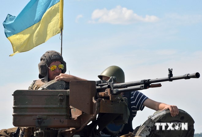 Вьетнам желает, чтобы стороны на Украине нашли мирный способ урегулирования конфликта - ảnh 1