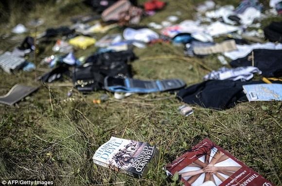 Нидерланды получили личные вещи погибших пассажиров рейса MH17 - ảnh 1