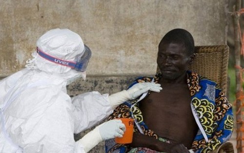 ВОЗ собрала экстренное заседание в связи с распространением лихорадки Эбола - ảnh 1