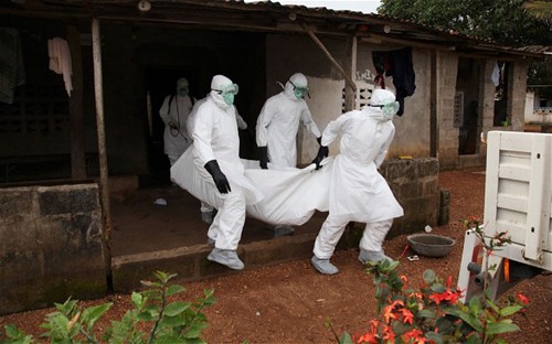 Страны мира увеличивают помощь Западной Африке в борьбе с лихорадкой Эбола - ảnh 1