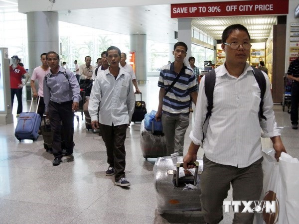 Сегодня 184 вьетнамских трудящихся из Ливии прибудут в Ханой - ảnh 1