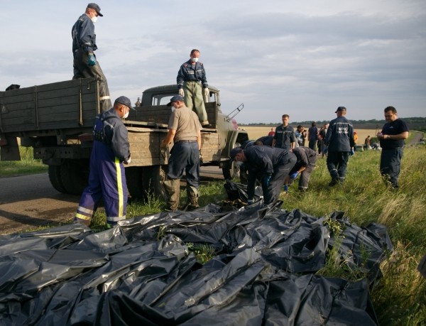 Опознаны ещё 42 жертвы крушения малайзийского лайнера на Украине - ảnh 1