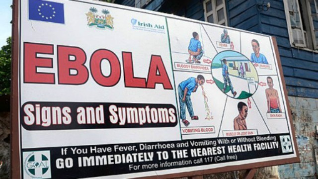 Вьетнам применяет активные меры по профилактике лихорадки Эбола - ảnh 1