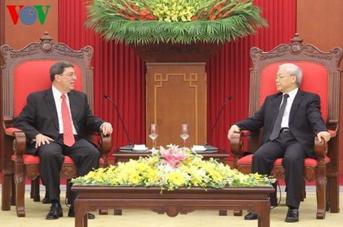 Дальнейшее укрепление и развитие отношений солидарности и сотрудничества между Вьетнамом и Кубой - ảnh 1