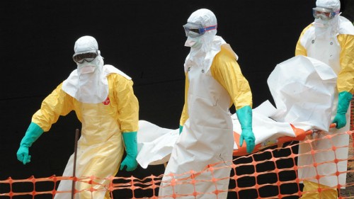 Саудовская Аравия активизирует профилактику и борьбу с Эболой в преддверии Хаджа - ảnh 1