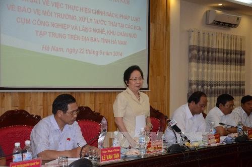 Вице-президент СРВ Нгуен Тхи Зоан провела рабочую встречу с руководителями провинции Ханам - ảnh 1
