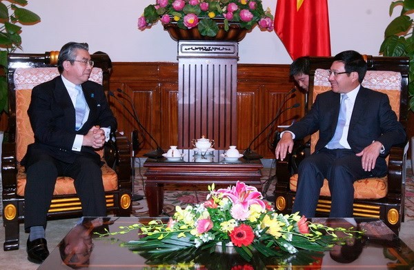 В Ханое прошел 5-й раунд вьетнамо-японского диалога о стратегическом партнерстве - ảnh 1