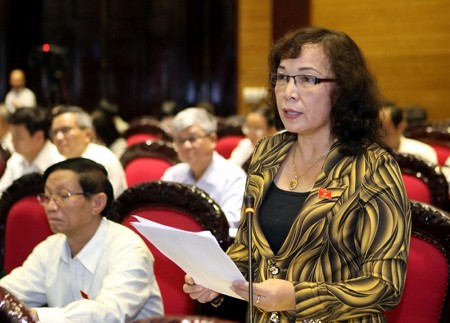 Вьетнамские депутаты обсудили Закон о гражданской авиации - ảnh 1