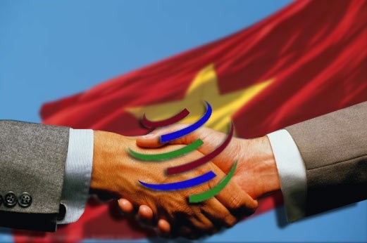 Вьетнам: оптимизация преимуществ членства в ВТО для развития экономики страны - ảnh 1