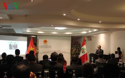 20-летие со дня установления дипотношений между Вьетнамом и Перу - ảnh 1