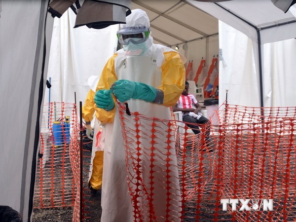 Клинические испытания лекарства от Эболы скоро будут проведены в Западной Африке - ảnh 1