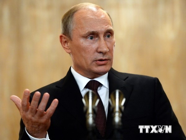 Путин: необходимо создать условия для начала политического диалога на востоке Украины - ảnh 1