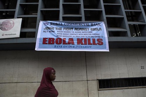 ВОЗ предупредила об увеличении числа погибших от вируса Эбола - ảnh 1