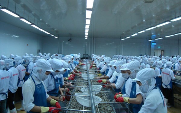 Вьетнам не продает экспортные морепродукты по демпинговым ценам - ảnh 1
