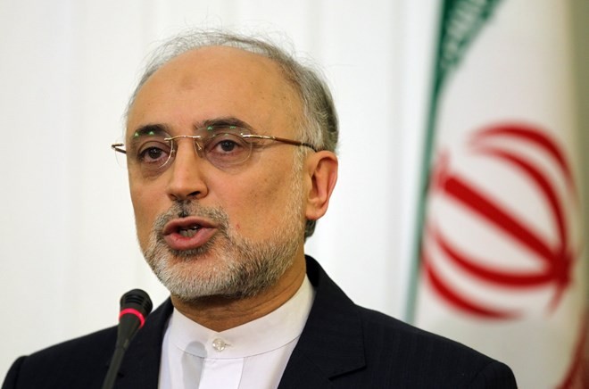 Иран отказался от специальной ядерной проверки - ảnh 1