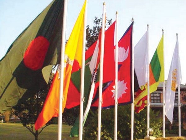 В Непале открылся 18-й саммит стран СААРК - ảnh 1