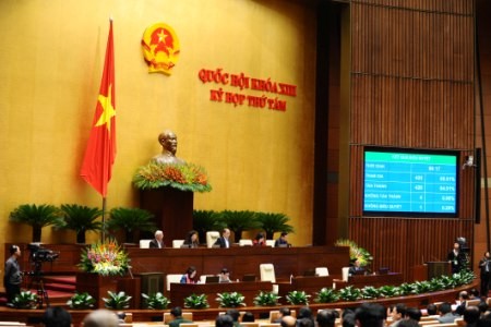 Вьетнамские депутаты провели голосование по некоторым законопроектам и заключительное заседание - ảnh 1