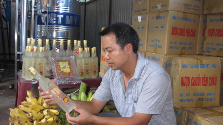 Модель выращивания бананов в провинции Шонла способствует выходу местных жителей из бедности - ảnh 4