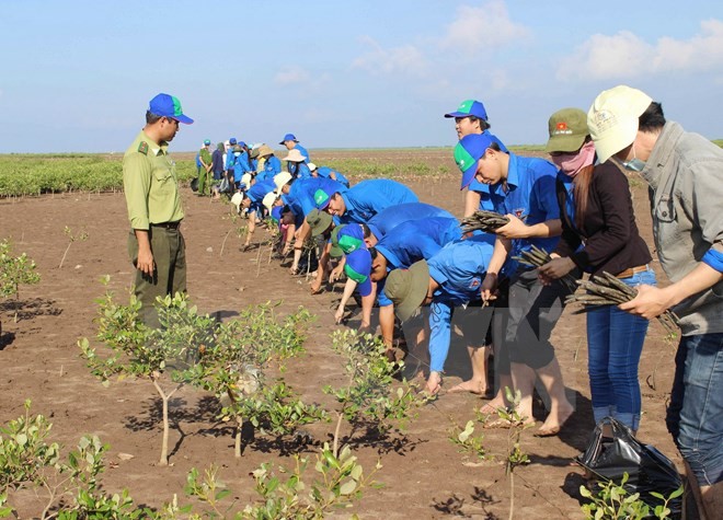 Вьетнам обязуется вместе со странами мира бороться с изменением климата - ảnh 1