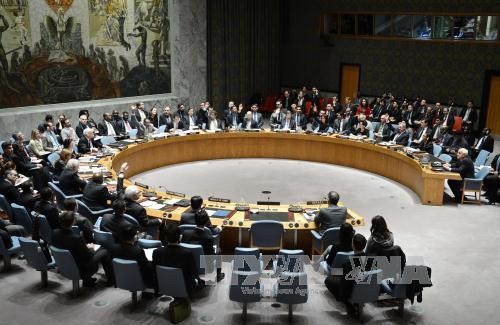 Палестина вновь подаст в ООН резолюцию о создании палестинского государства - ảnh 1