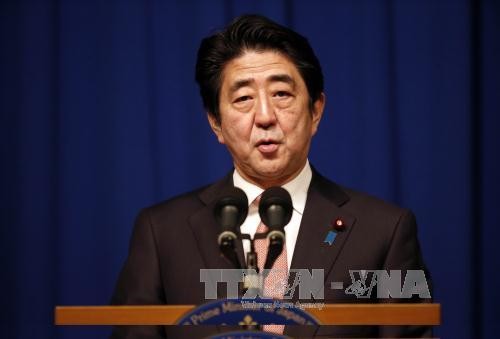 Япония продолжит поддерживать борьбу против «Исламского государства» - ảnh 1
