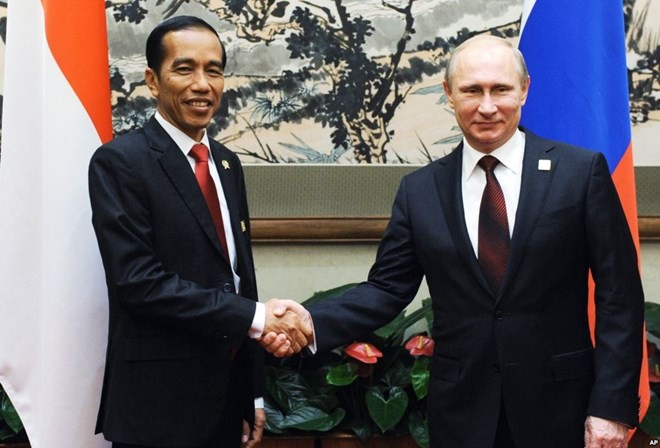 Индонезия и Россия договорились активизировать двустороннее сотрудничество - ảnh 1