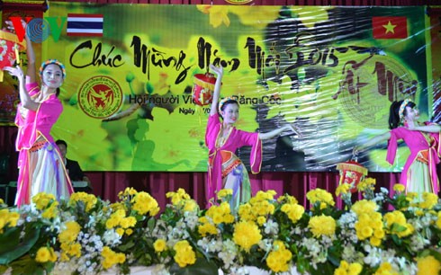 Вьетнамская диаспора за границей проводит мероприятия на Новый год по лунному календарю - ảnh 2