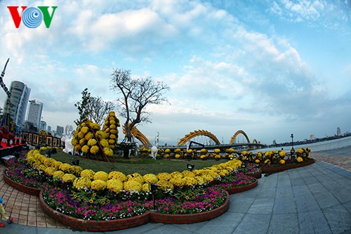 Улица весенних цветов Батьданг в Дананге - ảnh 6