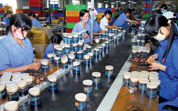 Развитие частного сектора для повышения экономической эффективности Вьетнама - ảnh 1