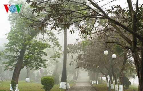 Город Хюэ в тумане - ảnh 11
