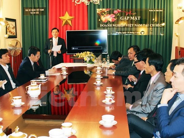 Беседа по экономическому сотрудничеству между Вьетнамом и Чехией - ảnh 1
