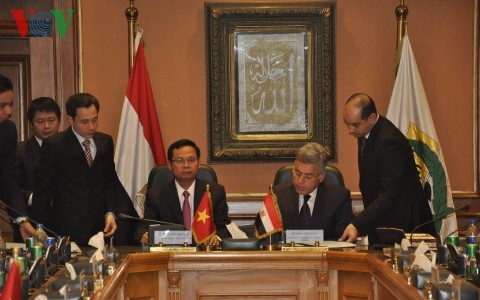 Генеральный инспектор вьетнамского правительства встретился с премьером Египта - ảnh 2