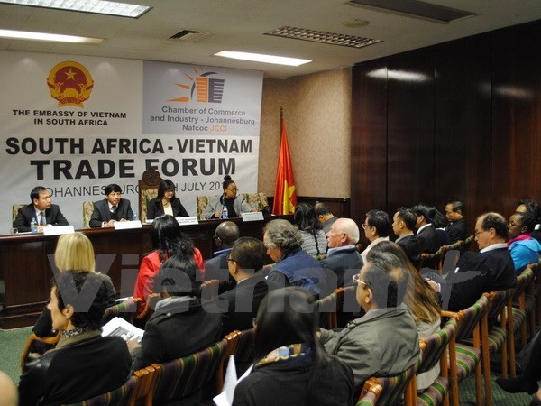 В Ханое прошла 3-я сессия Вьетнамо-южноафриканского межправительственного партнерского форума - ảnh 1