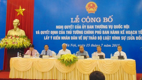 Во Вьетнаме собирают мнения жителей страны по проекту Уголовного кодекса - ảnh 1