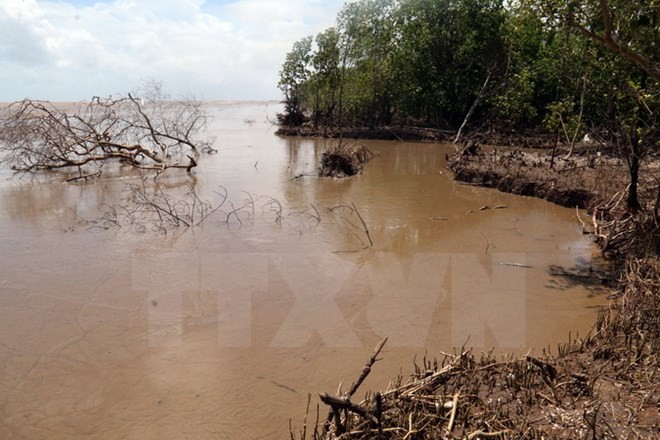 Региональная интеграция в борьбе со стихийными бедствиями и изменением климата в дельте Красной реки - ảnh 1