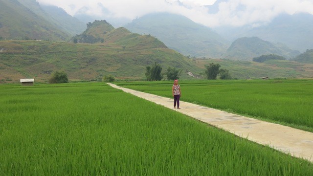 Донгха – первая община в провинции Хазянг, завершившая строительство новой деревни - ảnh 1